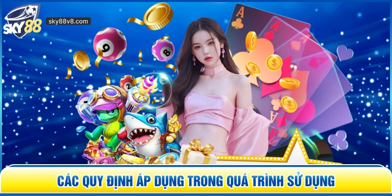 Các quy định áp dụng trong quá trình sử dụng